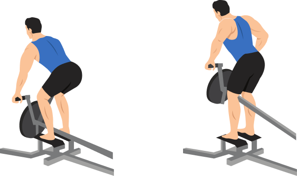 T Bar Row demonstration